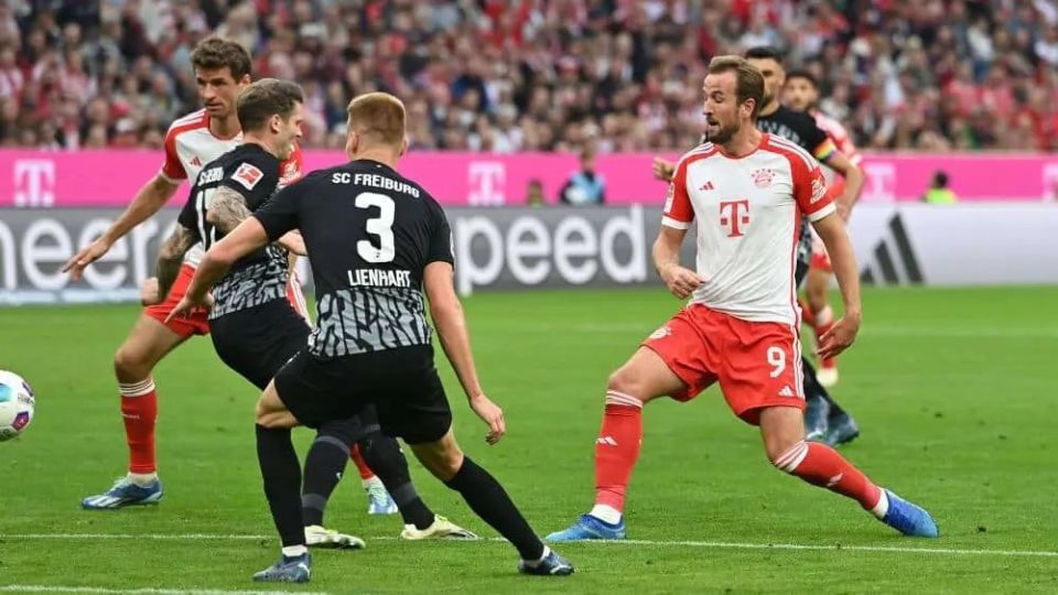 世俱杯时间-欧洲预选赛四强争霸，球迷欢呼声不断的简单介绍