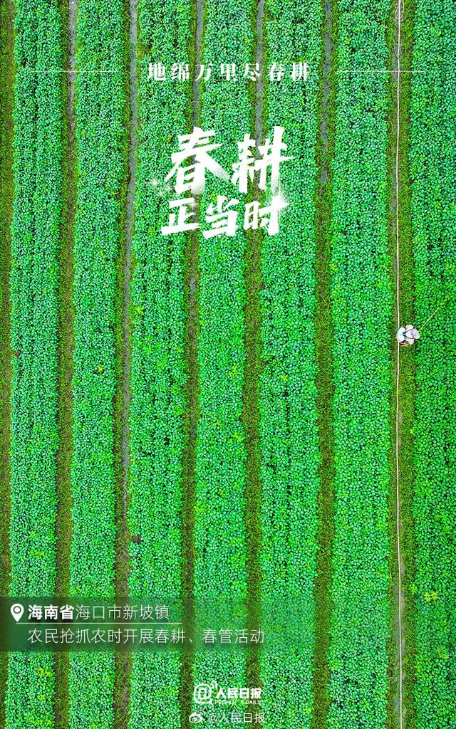 世俱杯改制-冲刺巅峰，中国球队徐徐展开国际征程的简单介绍