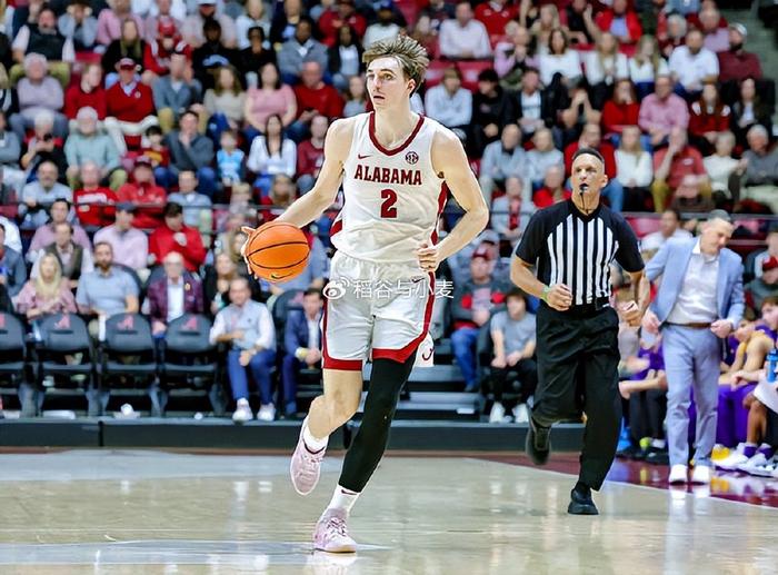 包含猛龙新秀崭露头角，内线防守表现抢眼的词条