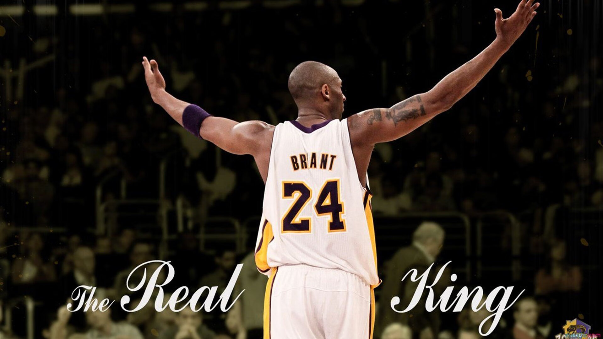 羽毛与火焰，日本队鏖战印尼队，马琳以寂静统治全场